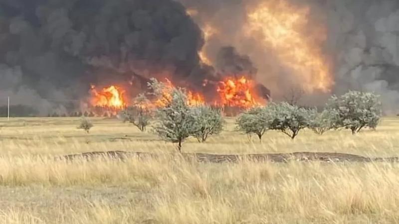 Қостанай облысындағы орман өртін сөндіруге 250 теміржолшы тартылды