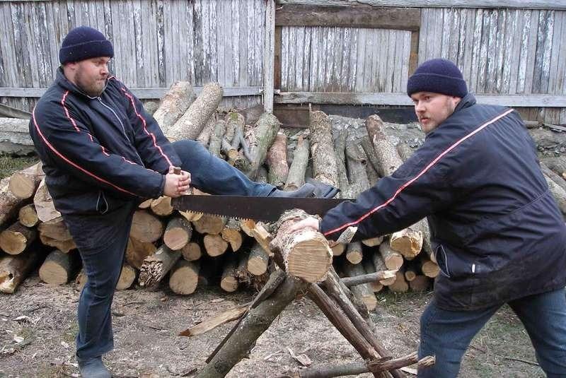 Инновации в ТЭК: в Молдове заработал сайт по поиску дров 
