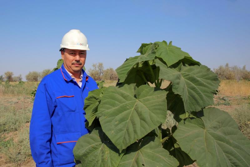 АлЭС: курс на «зеленое» развитие