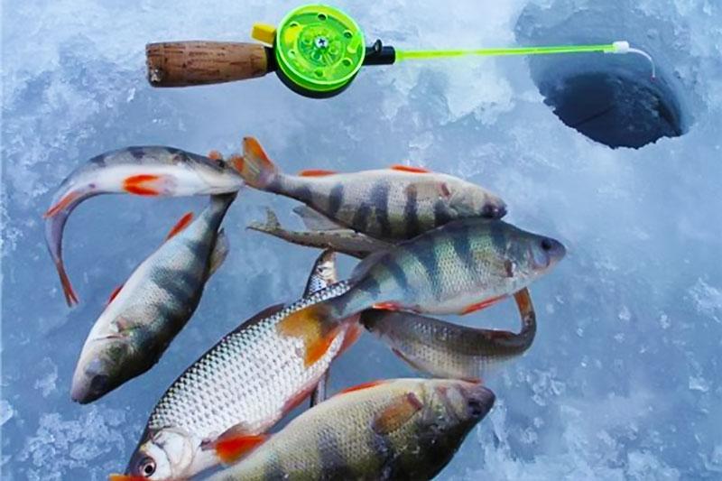 Рыбалка для карагандинских железнодорожников: отдых, азарт, общение!