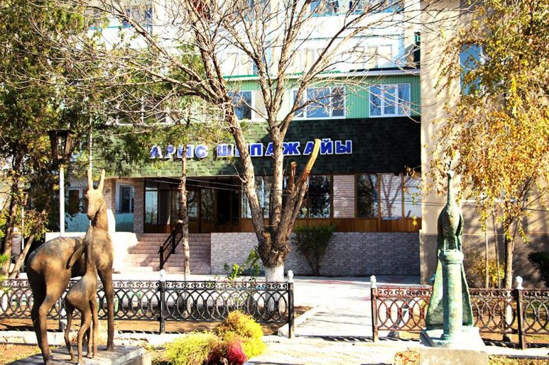 Теміржолшылардың бастамасымен салынған Арыс шипажайы