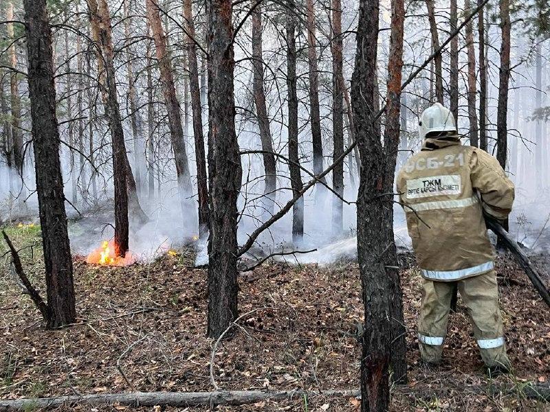 Семей теміржолшылары Абай облысы ауылдарына гуманитарлық көмек жинады