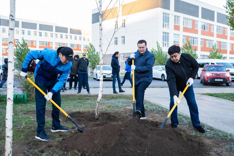 КазМунайГаз сажает липу и березы