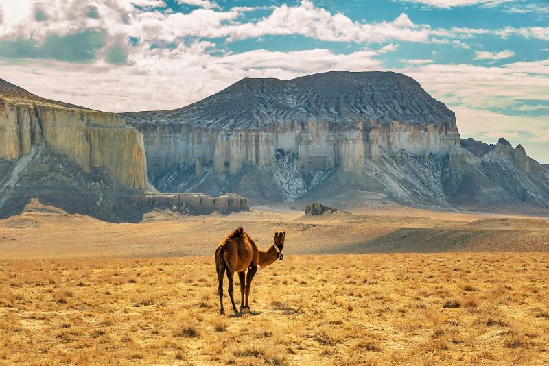 Границы Мангистауской области изменили в Казахстане