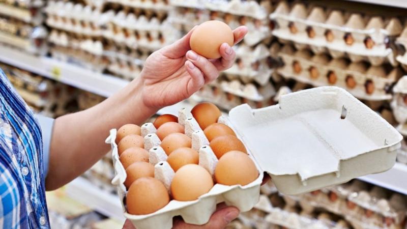 Затронет ли Казахстан рост цен на яйца в России?