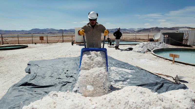Крупные компании Германии создают литийдобывающий консорциум в Казахстане