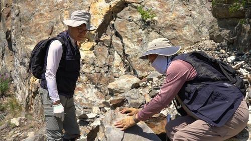 Месторождение лития в Казахстане обнаружили специалисты Корейского геонаучного института