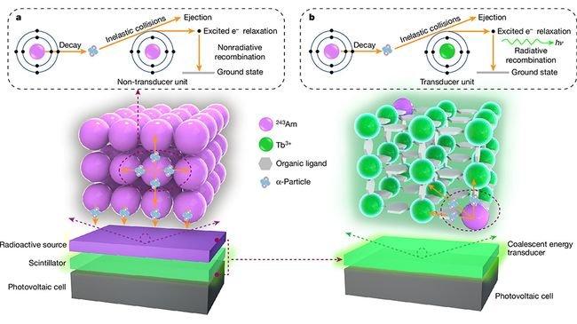 Источник: Li, K., Yan, C., Wang, J. et al., doi 10.1038/s41586-024-07933-9