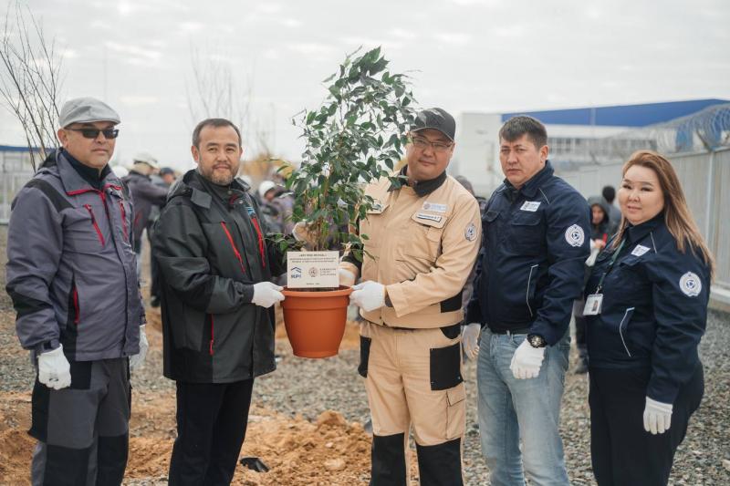 Сотрудники КРІ провели традиционную акцию по посадке деревьев