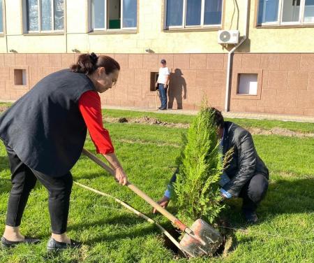 «Таза Қазақстан»: Қызылорда теміржолшылары сәндік ағаштар отырғызылды