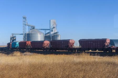 Қарашада ҚТЖ желісі бойынша 1 млн тоннадан астам астық жөнелтілді