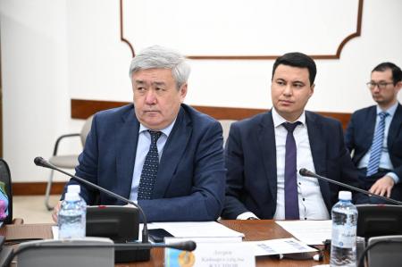 Қазақстан мен БАӘ «жасыл» энергетика саласындағы ірі жобаны іске асыруды бастайды