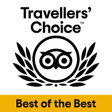 Air Astana назвали ведущей авиакомпанией Азии премии TripAdvisor Travellers’ Choice Award