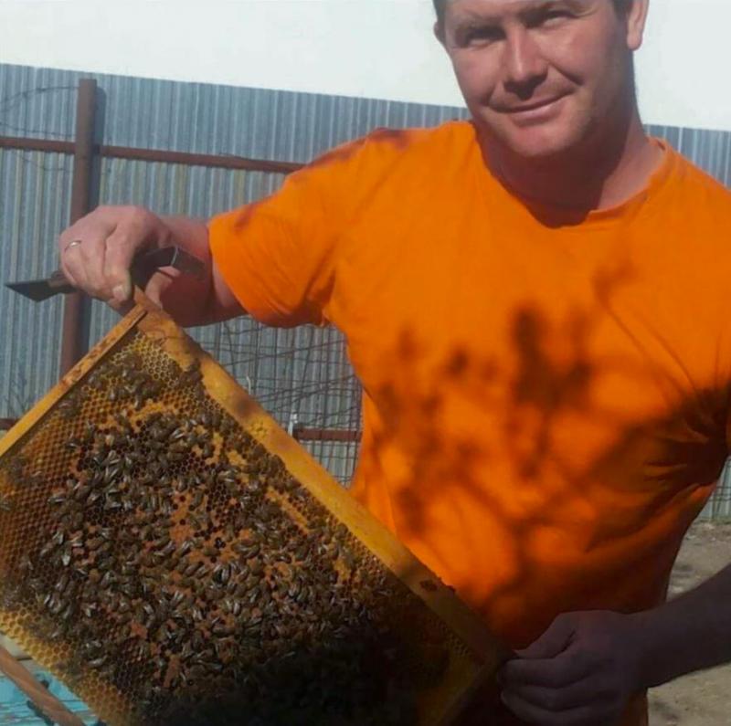 Сотрудник ГЭС: «С детства мечтал заниматься пчеловодством»