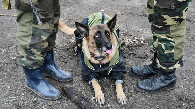 Очередной «теракт» в Нур-Султане произошел в праздничные дни