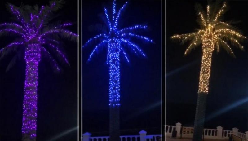  В Актау вместо ёлок светятся пальмы (видео)