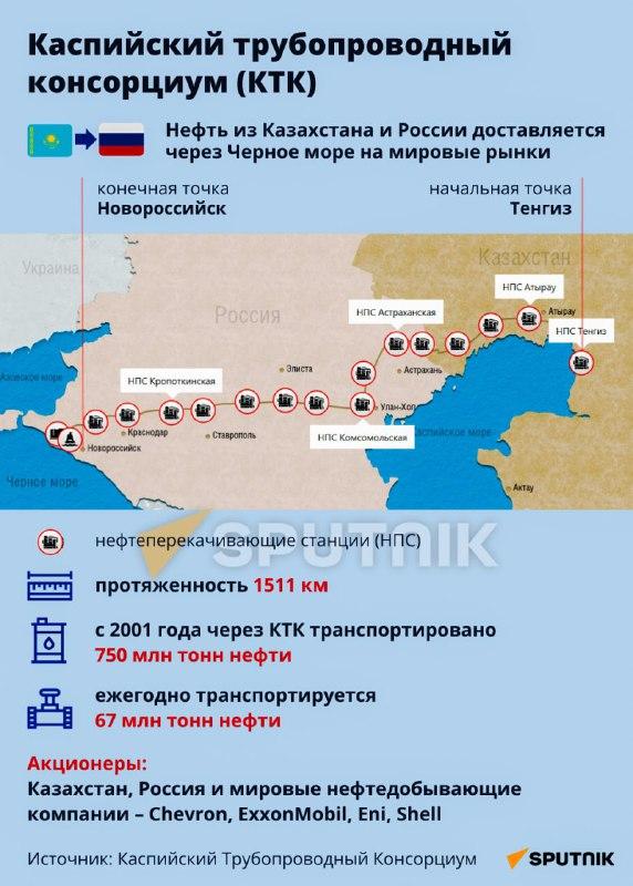 Инфографика Sputnik Казахстан