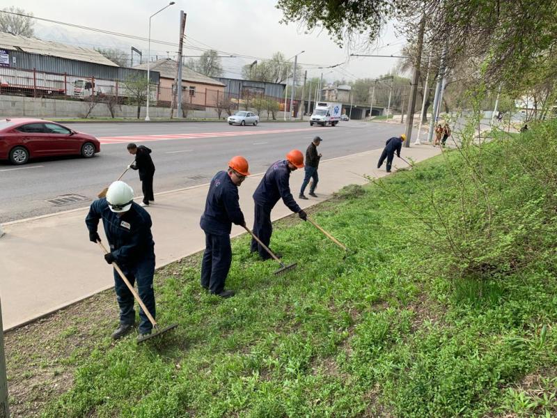 Birge – taza Qazaqstan: в АЛЭС прошел субботник