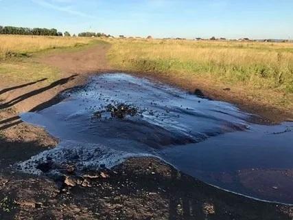 Кто сделал нефтяную лужу в Актюбинской степи, выясняют экологи (видео)