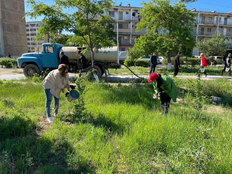 Қалаға көрік берен көшеттер