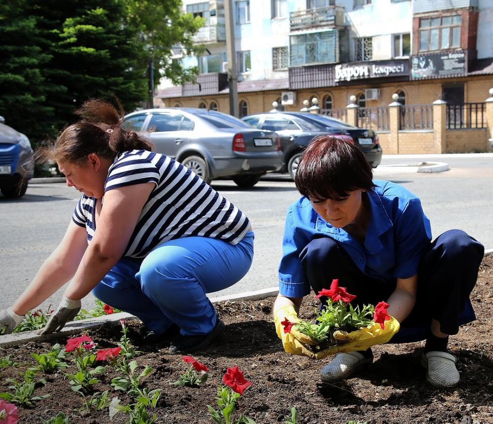 Фото пресс-службы Богатырь Комир