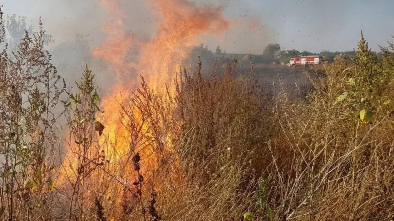 Пожар в Нур-Султане: горящий Талдыколь тушат с вертолёта (видео)