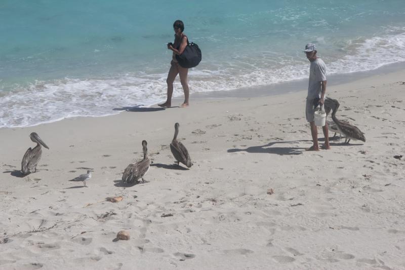 Казахстанские туроператоры смогут работать только после включения в госреестр